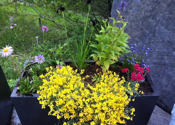 Julian * Lütschenthal