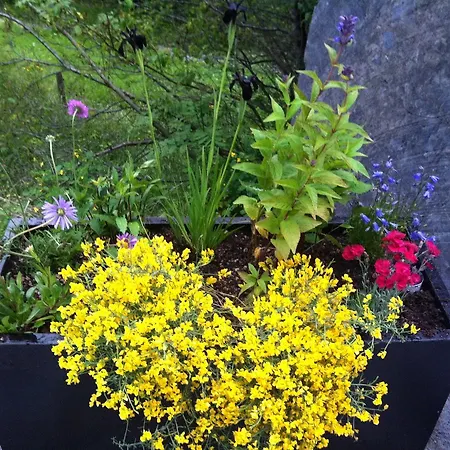 Julian * Lütschenthal